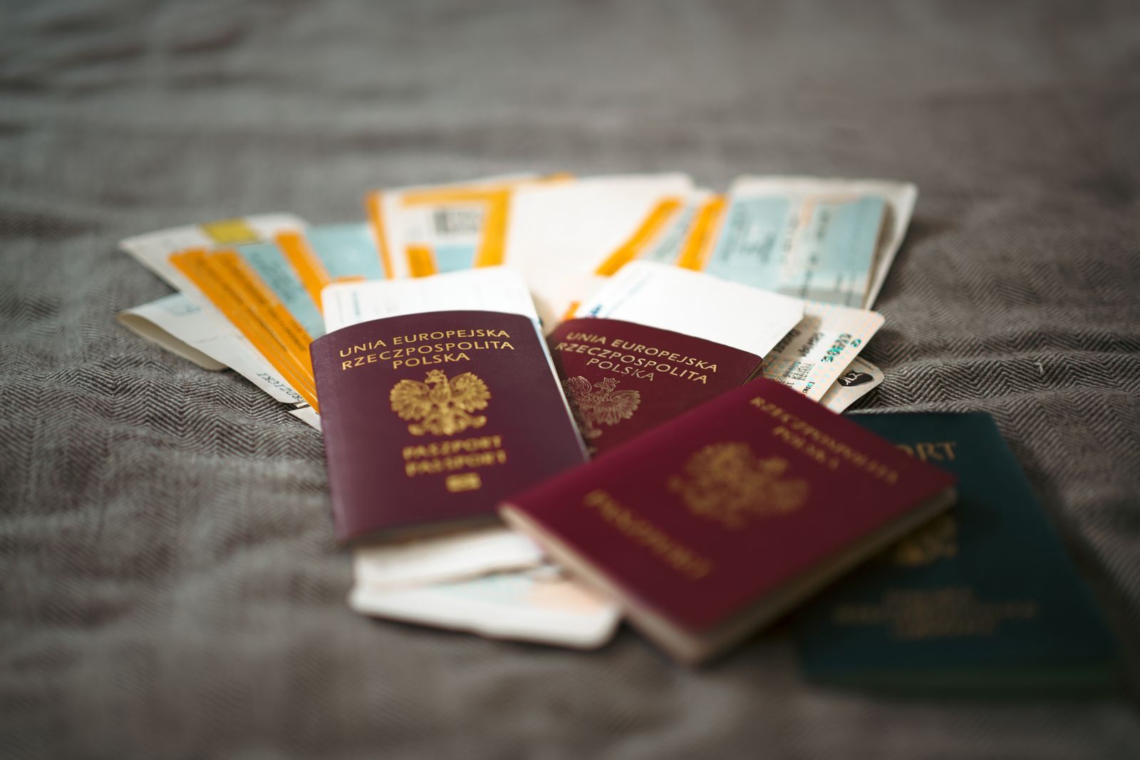 Passports and boarding passes, the documents to check before a cruise to the Bahamas